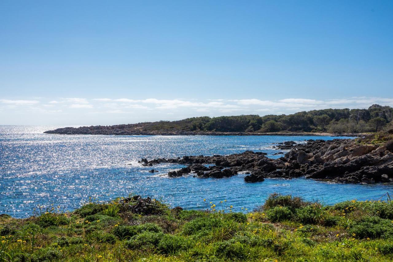 Finca Es Carregador カプデペラ エクステリア 写真